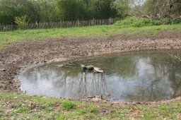 Charvil Backwater - April 2021